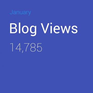 BlogViewsJan
