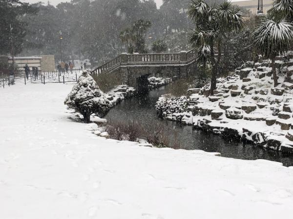 irweek10snow1