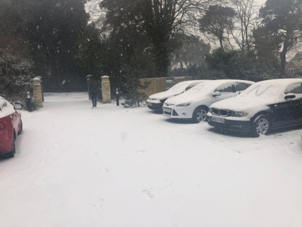 irweek10snow6