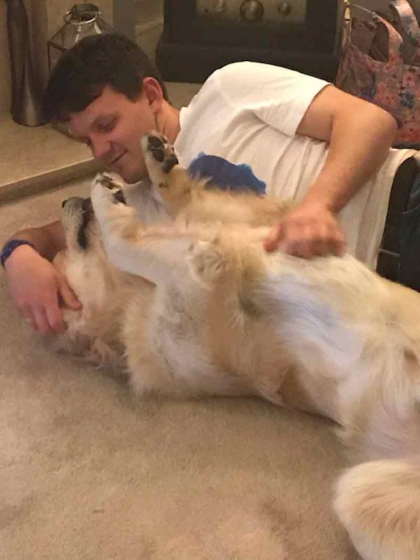 doghome