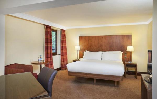 hilton 3